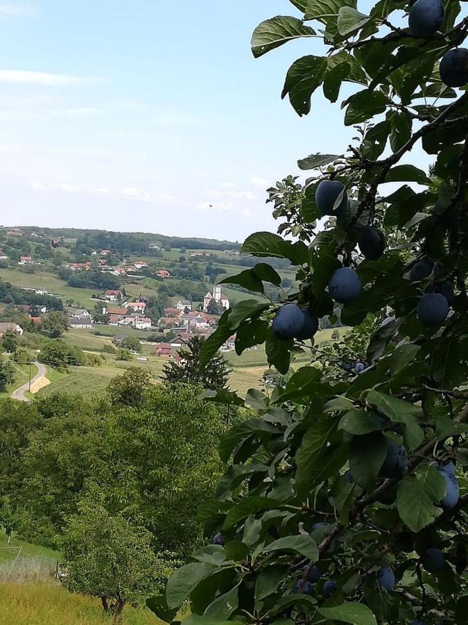 Kronprinz-Rudolf-Hof Unterlamm Zewnętrze zdjęcie